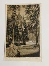 AK Neuhakenberg Tannendreieck Stuhm Westpreußen Gościszewo  Sztum Braunswalde