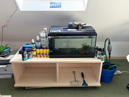 Glasaquarium becken mit - glasaquarium/becken,