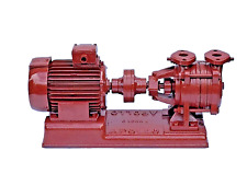 Kreiselpumpe Apollo 2KSEYK32-2 Hauswasserwerk Gartenpumpe Wasserpumpe Druckpumpe