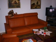 de Sede Sofa Leder Zweisitzer