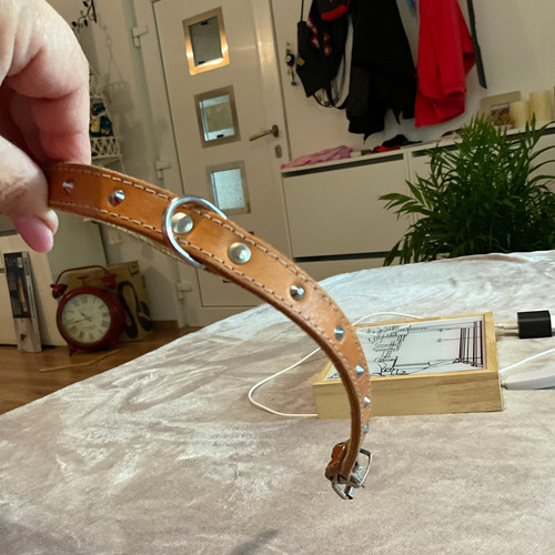 Hunde halsband leder - hunde-halsband, mit