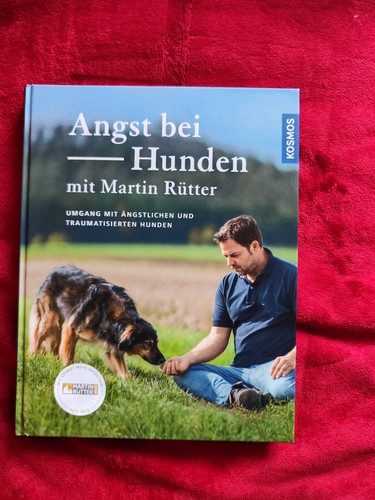 Angst bei hunden mit - angst,
