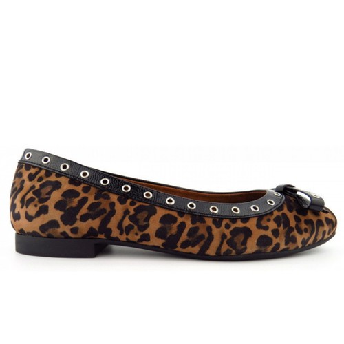 Paul green leo lack sahara - paul,