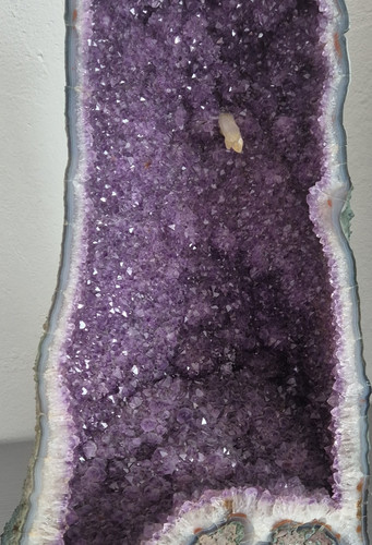 Große amethyst druse mit - große,