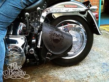 Excellent Leather Swing Arm