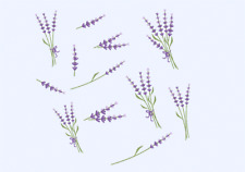 Stickdatei Lavendel Lavender