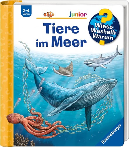 Wieso weshalb warum - weshalb,