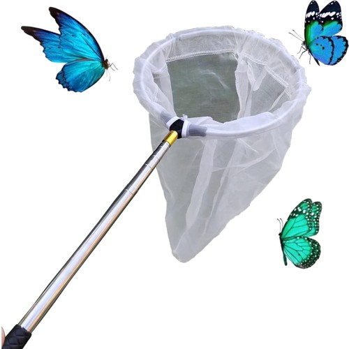 Insektennetz
