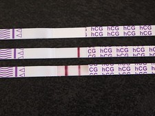 Schwangerschaftstest Streifentest von BioRépair - Schnell/Sicher/Zuverlässig