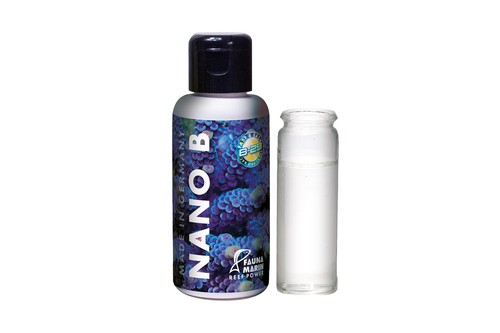 Fauna marin nano - marin,