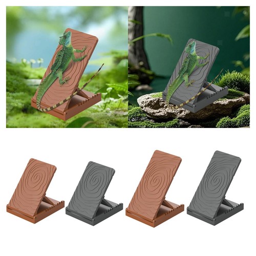 Amphibien lizard - amphibien,