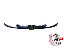 Leiste Frontgrill Blau vorne