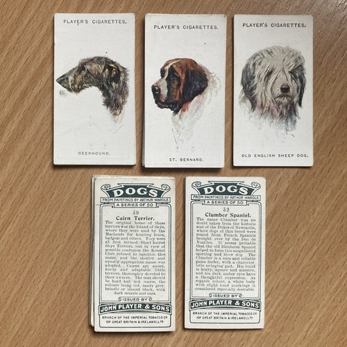 1931 player dogs - player's, (a