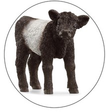 schleich 13969 Galloway Kalb