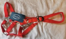 Loesdau Horse-friends Pony