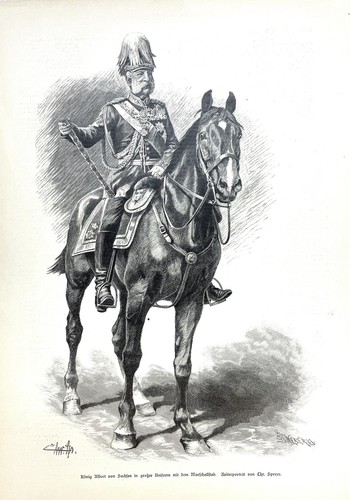 König albert von - albert, in