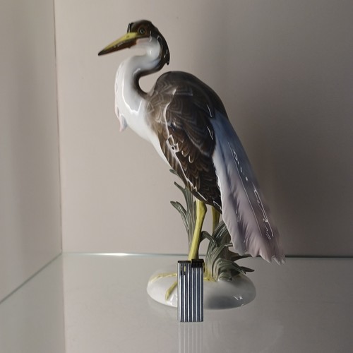 Rosenthal fischreiher reiher - rosenthal,