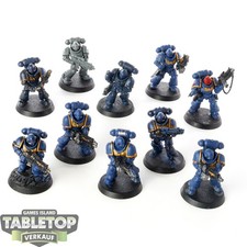 Space Marines - 10 Intercessors - teilweise bemalt