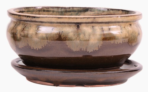 Bonsai schale oval 5 - bonsai,