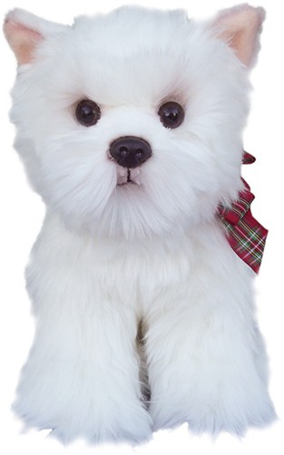 West highland terrier - west,