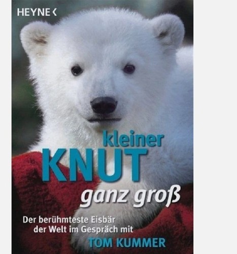 Kleiner knut ganz groß - groß, der