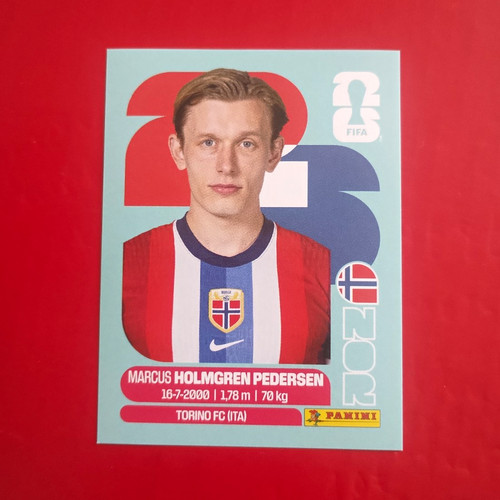 Panini fifa world cup - fifa,