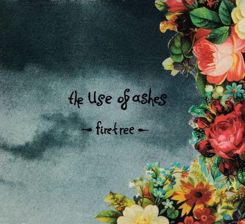 The use ashes - use,