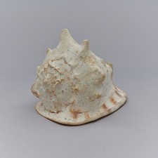 Wunderschöne naturbelassene