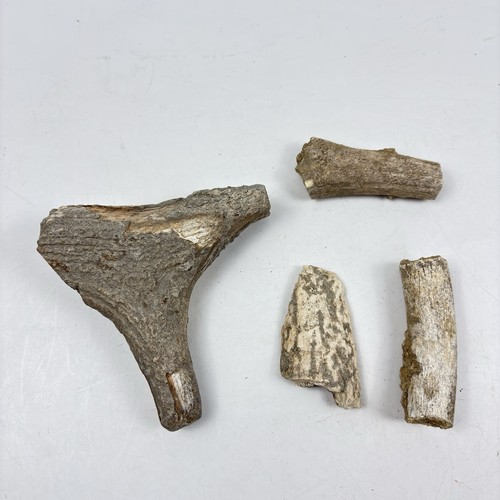 Lot mit versteinerung - lot,