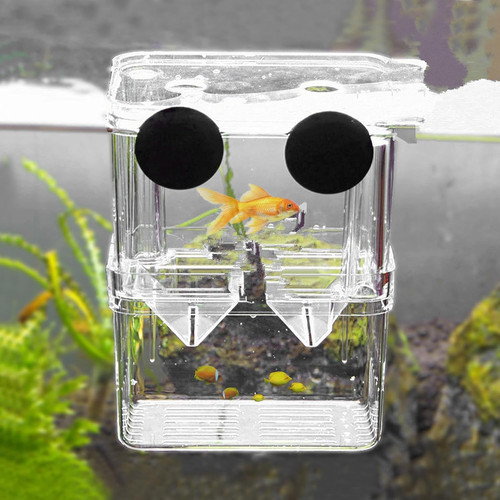 Aquarium zuchtbox - aquarium,