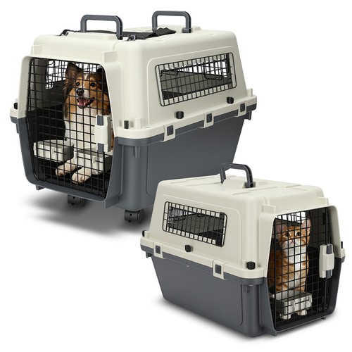 Hundetransportbox tier - hundetransportbox,