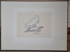 Pablo Picasso "Friedenstaube"