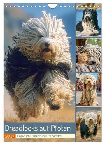Dreadlocks auf pfoten - dreadlocks,