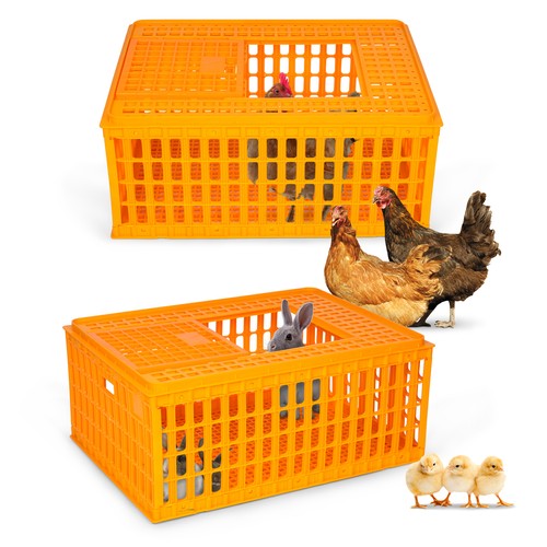 Geflügel transportkiste - 2x,