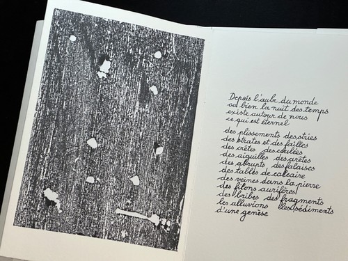 Unikat jean pierre geay - 🌓,
