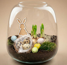 DIY Terrarium Set Glas Ø19cm