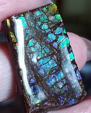 Blau-grüner Drachenschuppen Ammolit       (C17)
