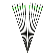 Komplettpfeil | DRAKE Fire - Carbon-Hybrid-Pfeil - 12er Pack