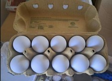 10 Hühner Bruteier von