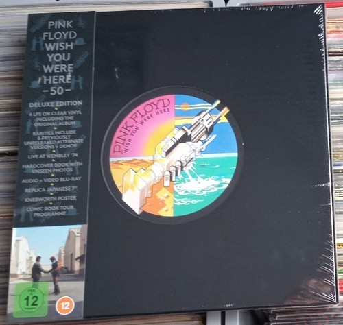 Pink floyd wish you were - you,