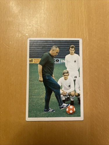 Bergmann 1967 163 - bergmann,