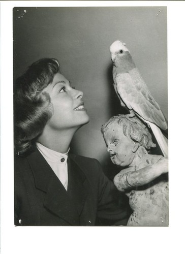 Originale fotografie der - originale,