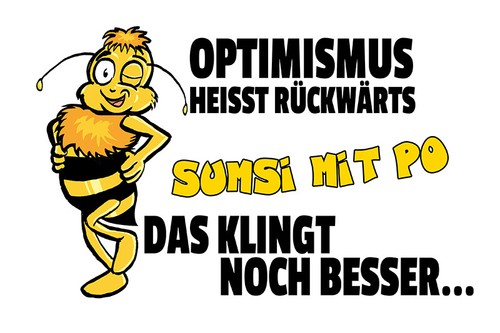 Blechschild 30 cm - 30,