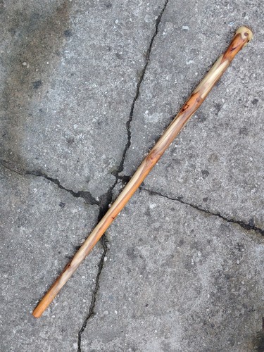 Englische eibe shillelagh - englische,