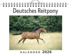 Deutsches Reitpony Mia