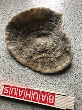 echte Koralle (Südsee) hell