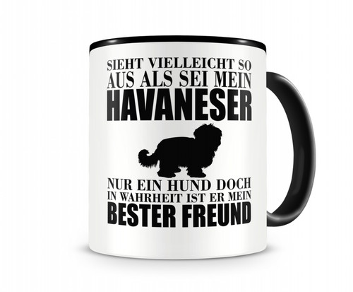 Havaneser mein bester - , freund