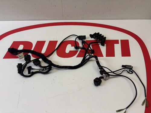 Ducati kabelbaum vorne - kabelbaum,