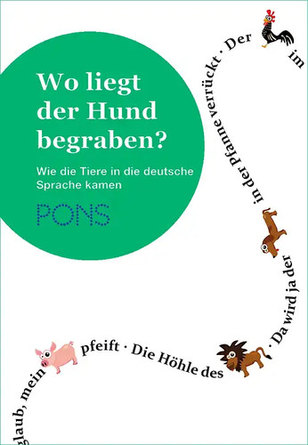 Pons liegt der hund - wo,