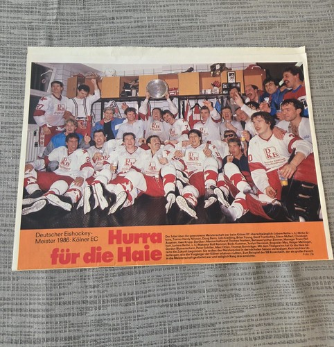 Kölner haie deutscher - kölner,